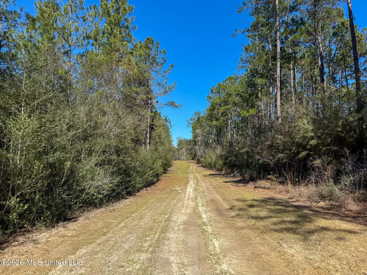 Cable Bridge Road, Pass Christian, MS 39571 - #1