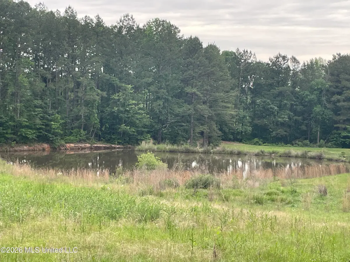 Niki Lane, Pelahatchie, MS 39145 - #1