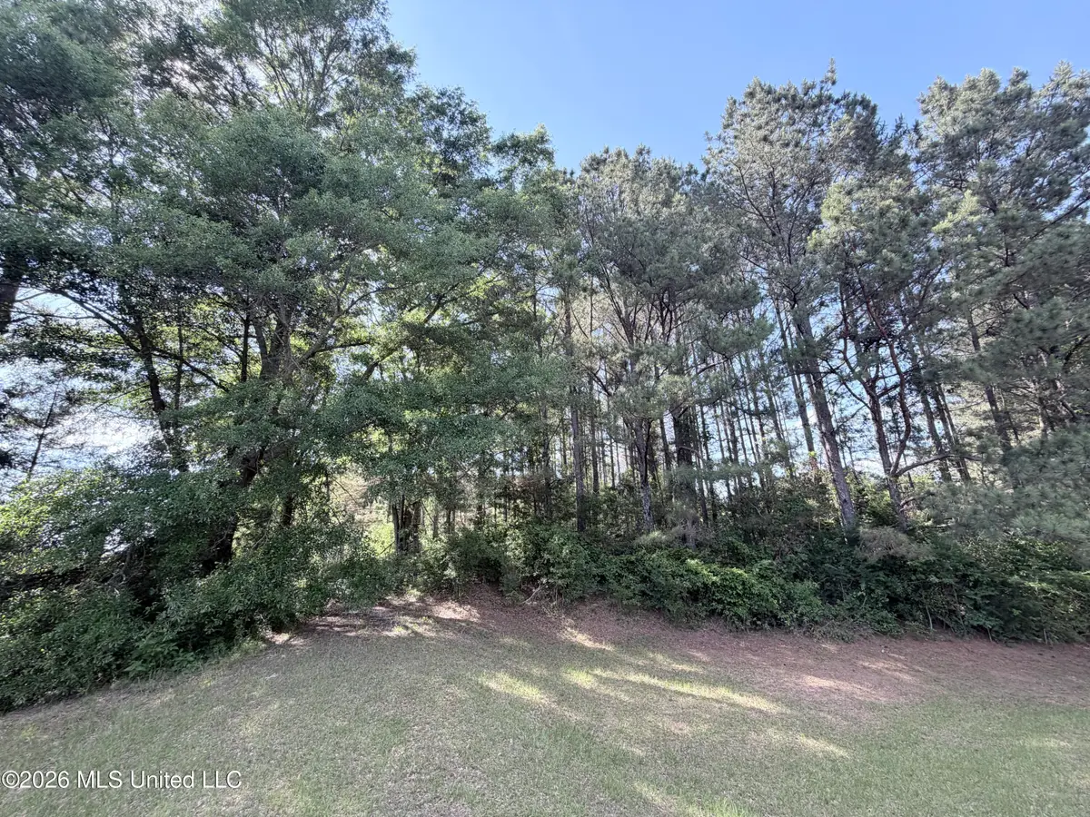 0 Risher, Carthage, MS 39051 - #1