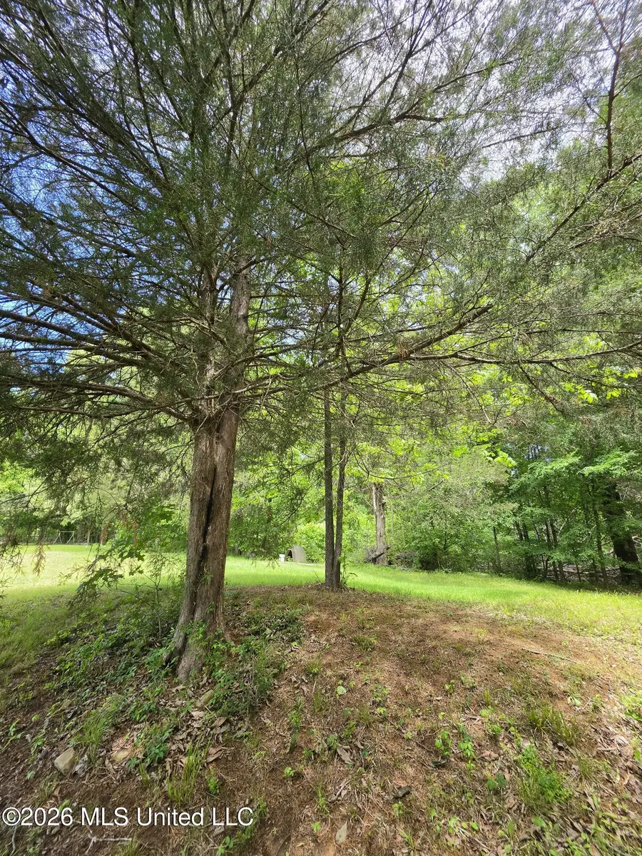 556 Jamie Drive, Byhalia, MS 38611 - #3