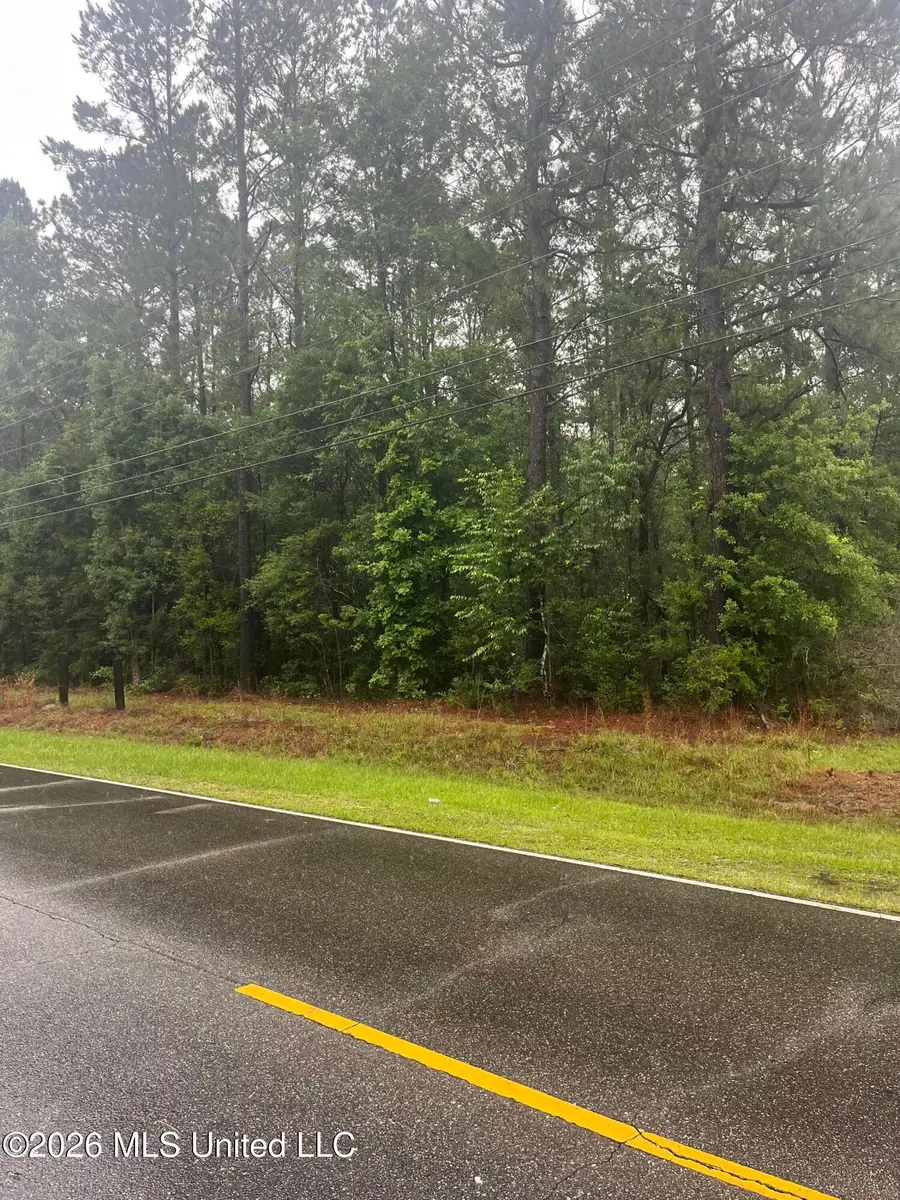 Burnt Bridge Road, Picayune, MS 39466 - #3