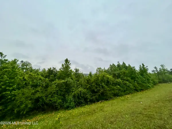 Ferguson Mill Road, Silver Creek, MS 39663