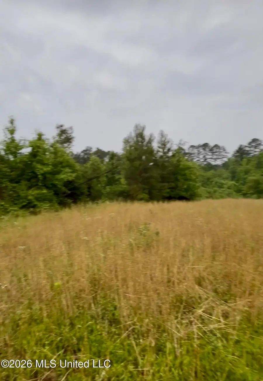 Ferguson Mill Road, Silver Creek, MS 39663 - #3