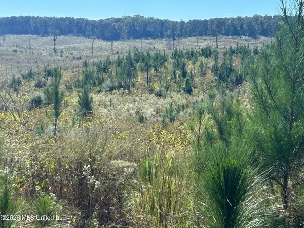 80ac Skyline Road, Meridian, MS 39301