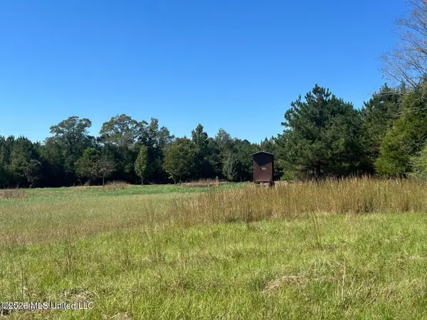 72ac Skyline Road, Meridian, MS 39301