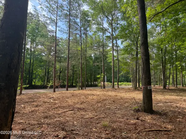 Evergreen Drive, Brandon, MS 39042