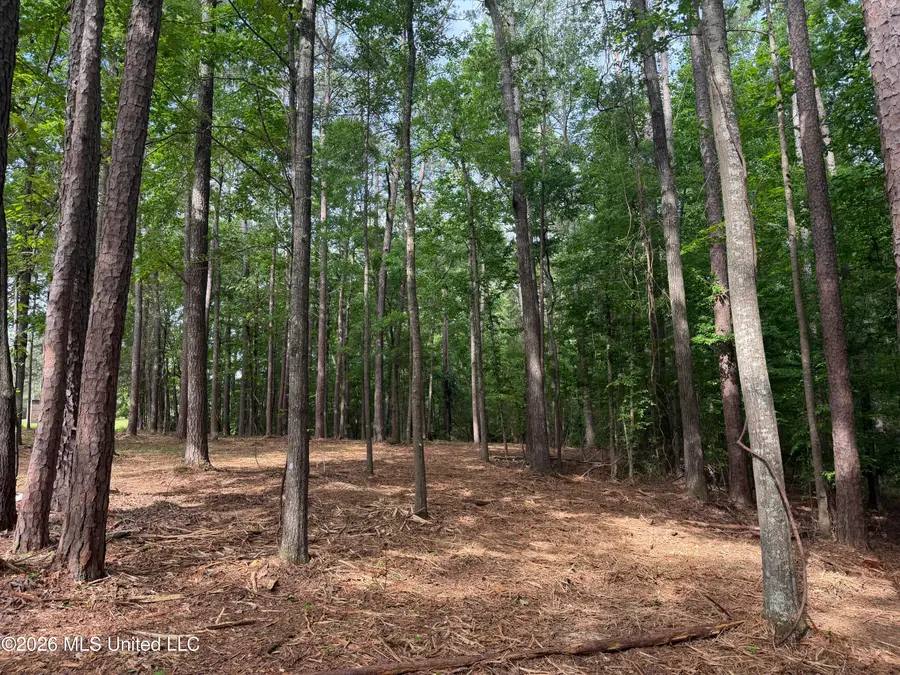 Evergreen Drive, Brandon, MS 39042 - #2