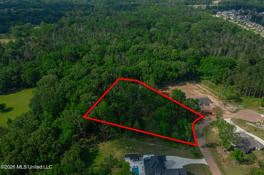 159 Hunters Cove, Madison, MS 39110 - #3