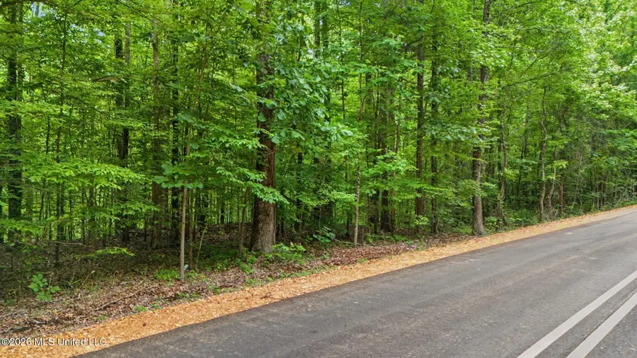 Tanyard Road, Hernando, MS 38632 - #3