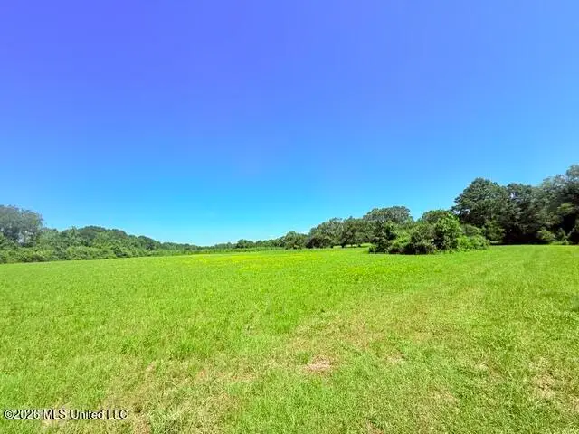Union Church Road, Magnolia, MS 39652 - #2