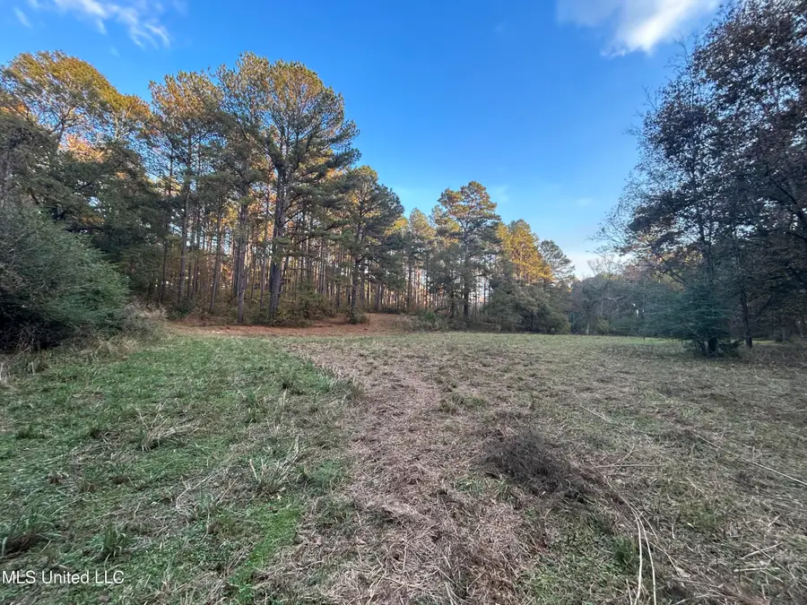 4024 Old Mill Road, Osyka, MS 39657 - #2