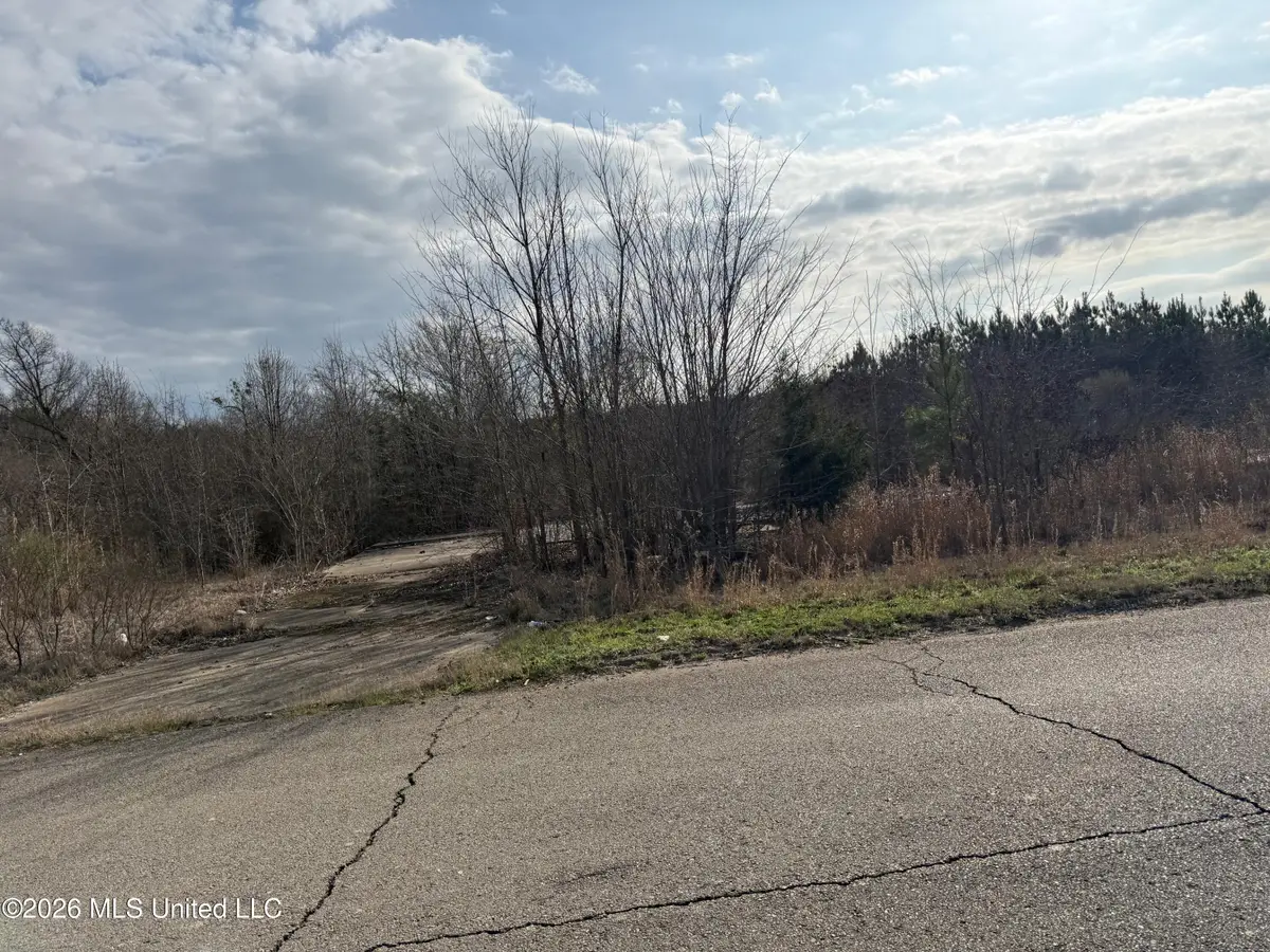 Eiland Avenue, Louisville, MS 39339 - #1
