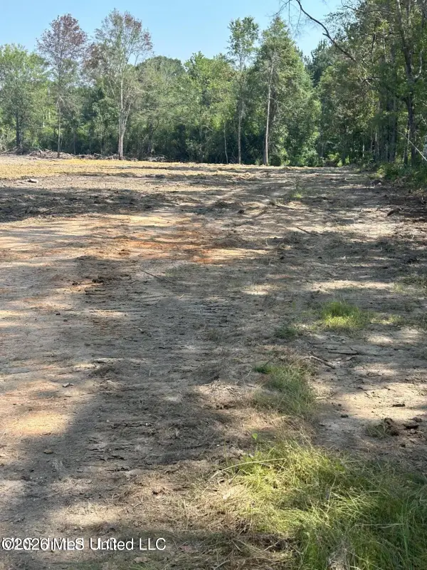 Mississippi 18, Pachuta, MS 39347