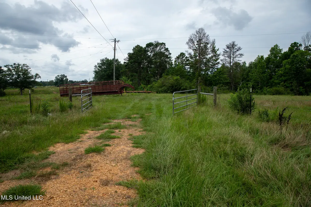 Sam Durr Road, Mount Olive, MS 39119 - #1