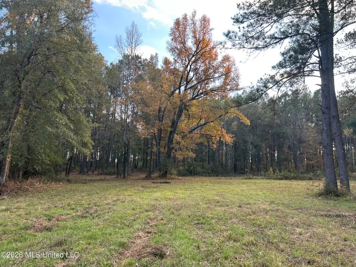 4024 Old Mill Road, Osyka, MS 39657 - #1