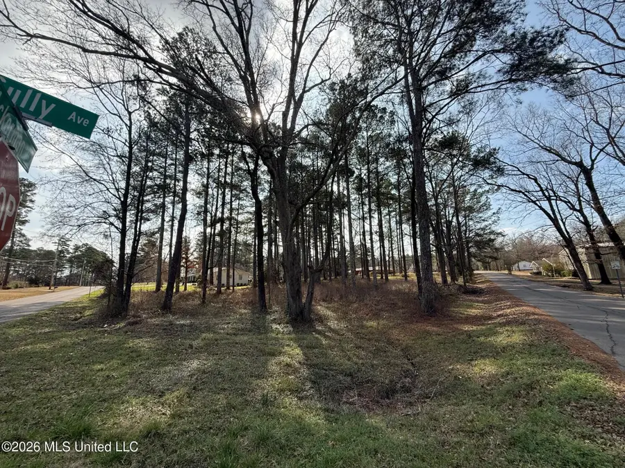 Ackerman Street, Louisville, MS 39339 - #2