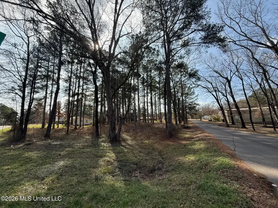 Ackerman Street, Louisville, MS 39339 - #3