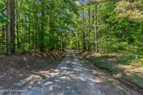 202 Powell Chapel Road, Holly Springs, MS 38635