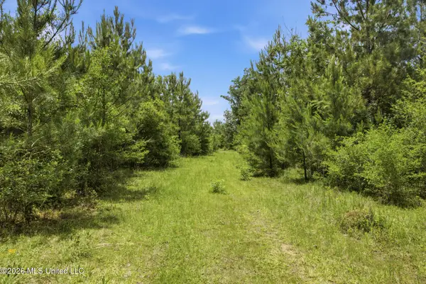 2705 Pilgrims Rest Road, Magnolia, MS 39652