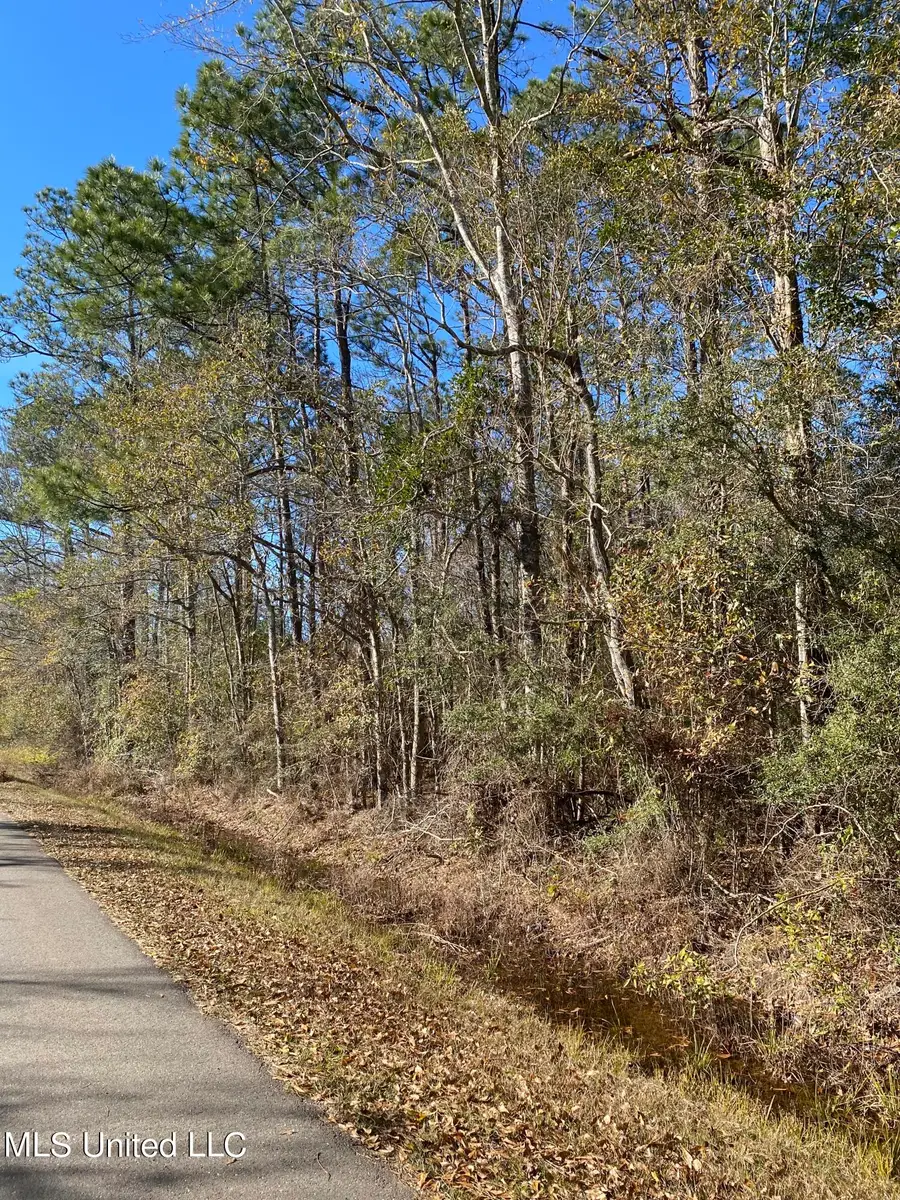 49 Shelton Pearson Road, Picayune, MS 39466 - #2