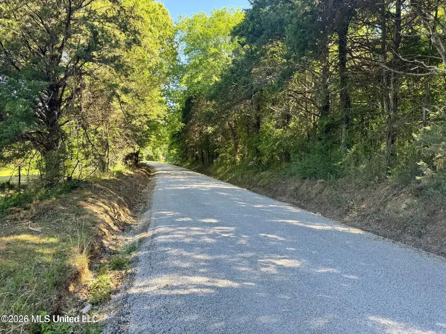 107 Union Valley Road, Byhalia, MS 38611 - #2