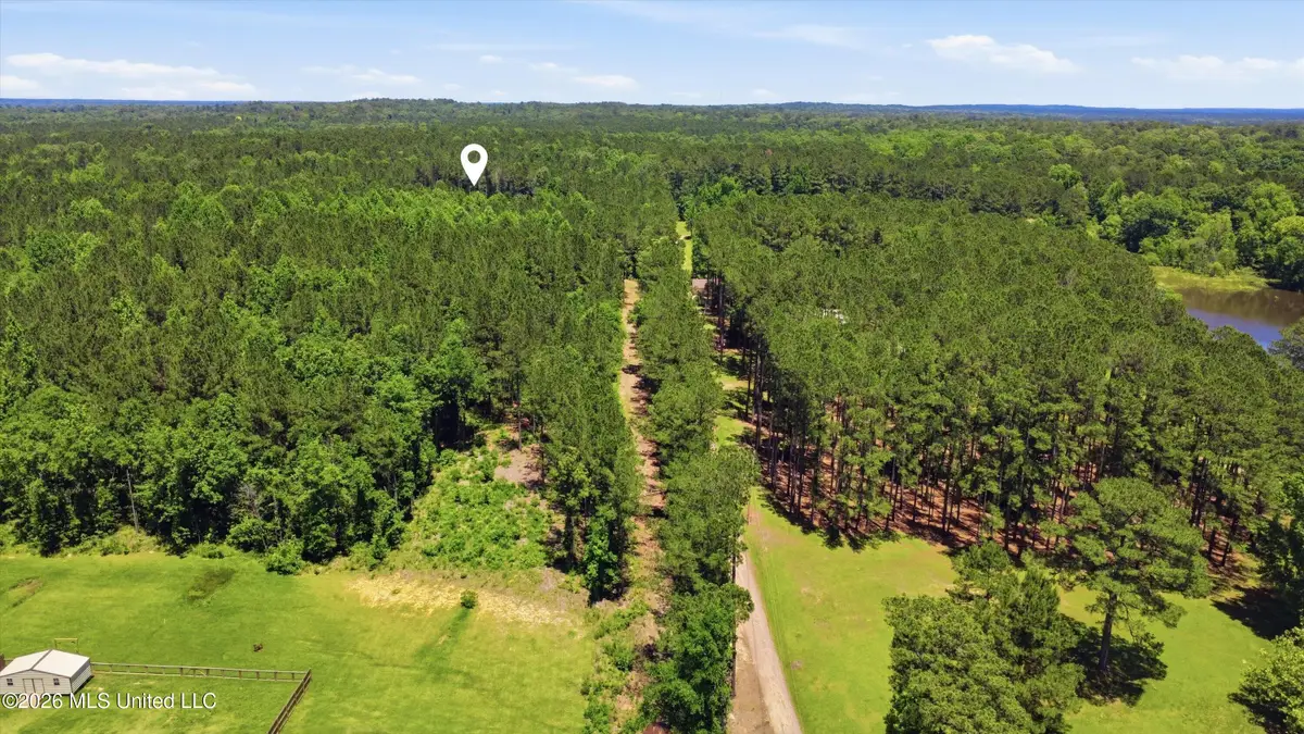 Old Lake Road, Brandon, MS 39042 - #1
