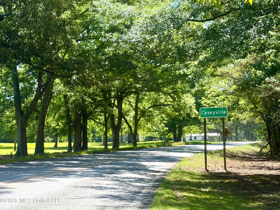 3715 Caseyville Road, Union Church, MS 39668 - #2