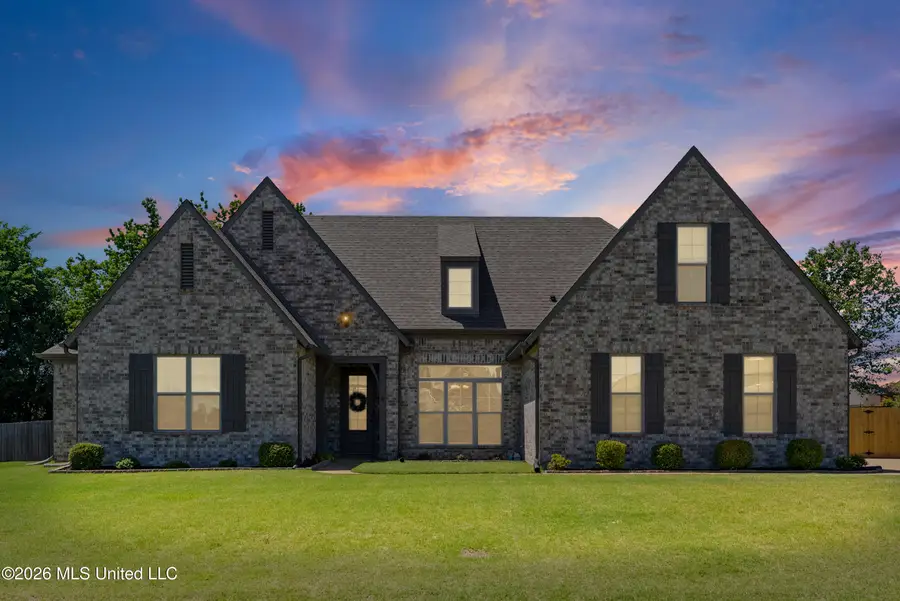 4189 Carolyn Mitchell Drive, Olive Branch, MS 38654 - #3