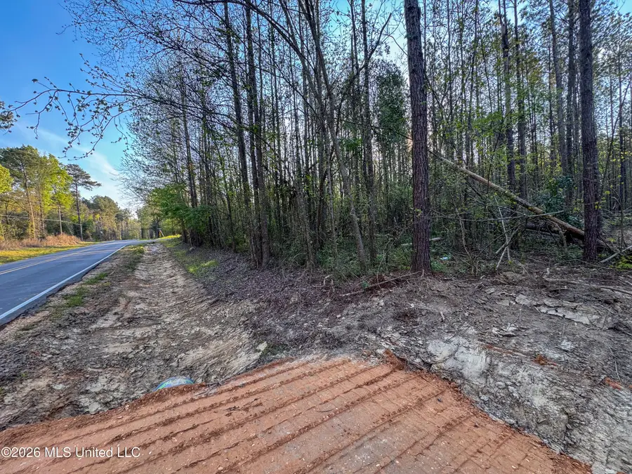 Sand Hill Road, Brandon, MS 39047 - #2