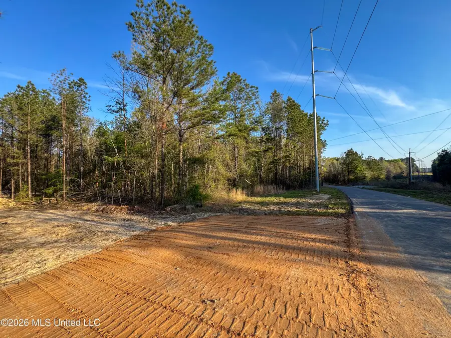 Taylor Lane, Brandon, MS 39047 - #3