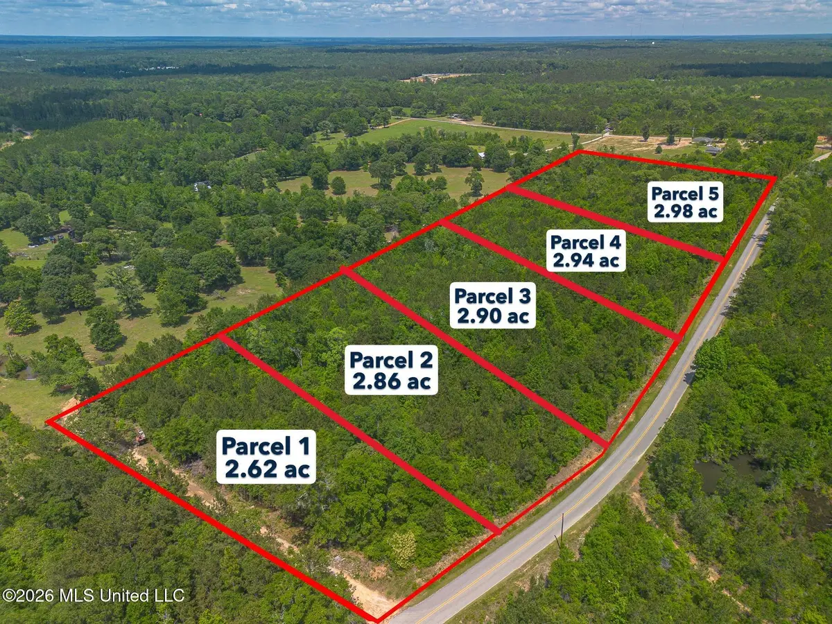 Parcel 5 M P Parker Road, McHenry, MS 39561 - #1