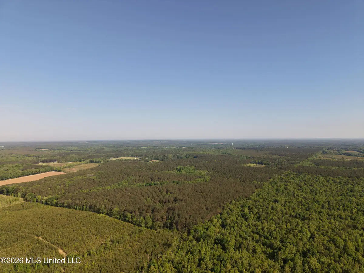 Old 46 Highway, Caledonia, MS 38851 - #1