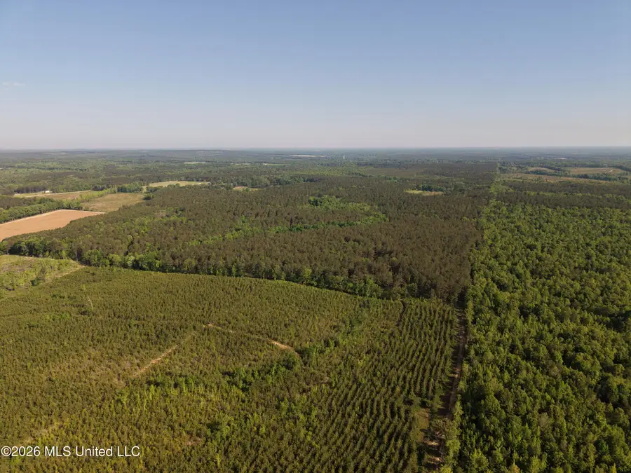 Old 46 Highway, Caledonia, MS 38851 - #2