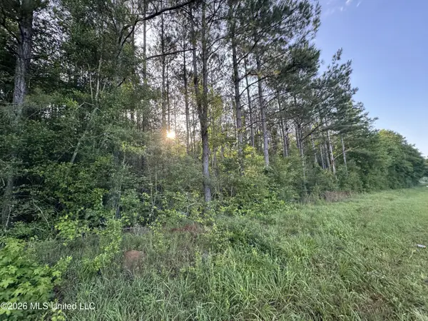 N Lot 3 River Road, Summit, MS 39666
