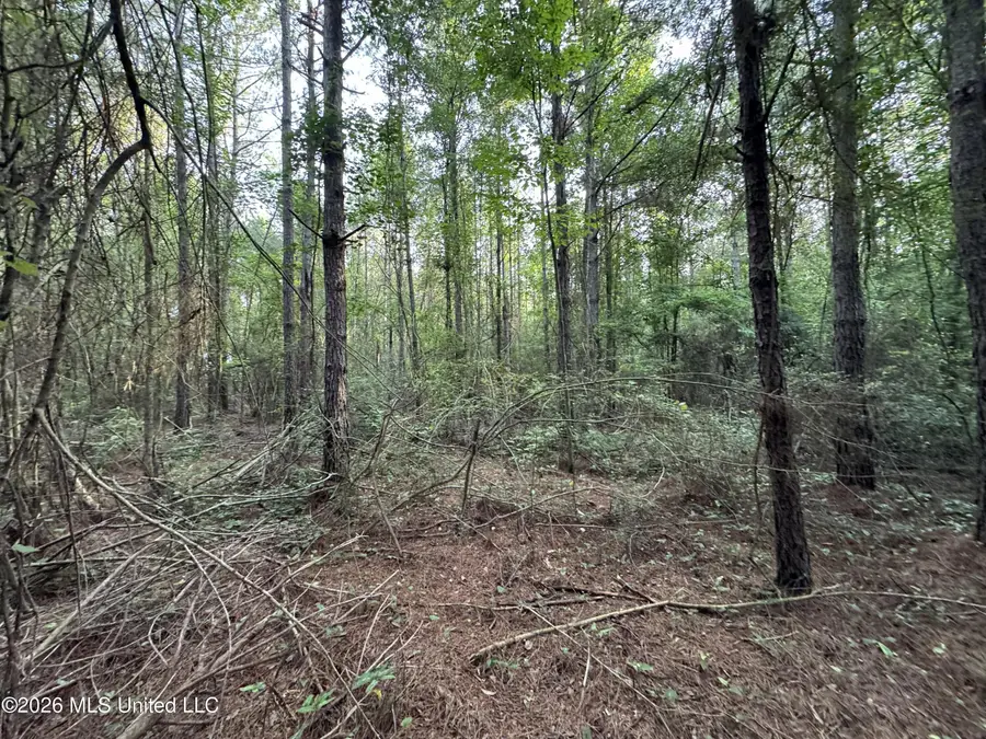 N Lot 3 River Road, Summit, MS 39666 - #2