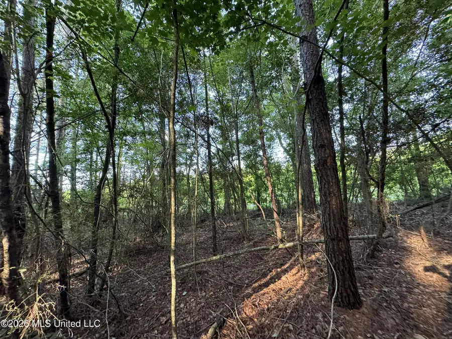 N Lot 3 River Road, Summit, MS 39666 - #3
