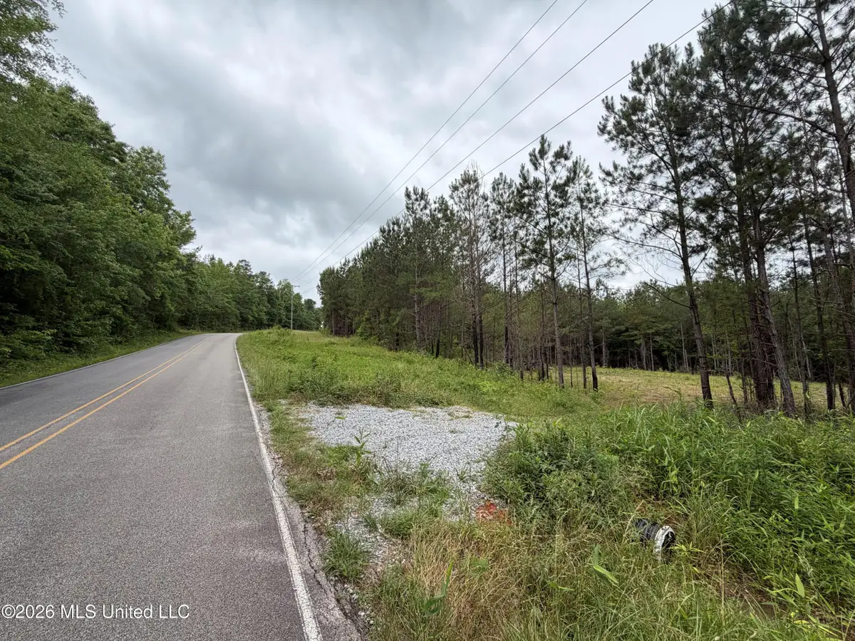 157 Walker Bottom Road, Meridian, MS 39301 - #1