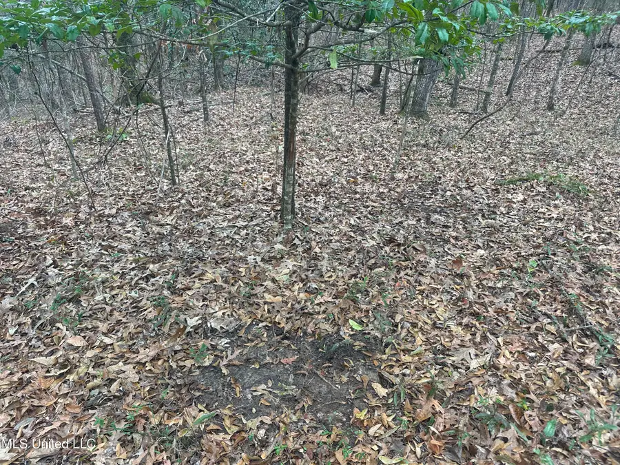 Aberdeen Road, Natchez, MS 39120 - #3