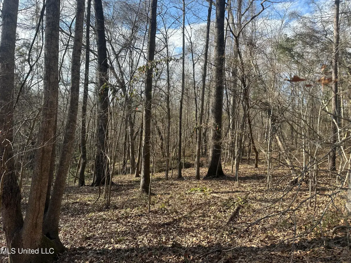 Dunbar Road, Natchez, MS 39120 - #1