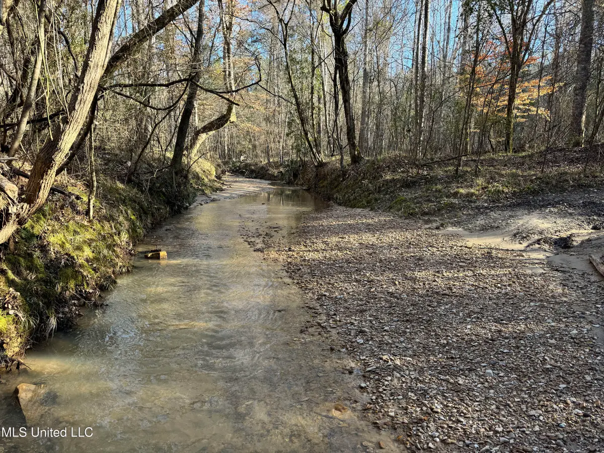 Hickory Ridge Road, Hermanville, MS 39086 - #1
