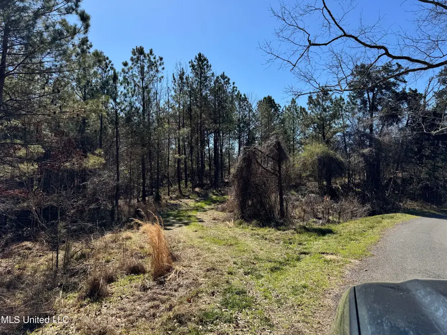 Hickory Ridge Road, Hermanville, MS 39086 - #2