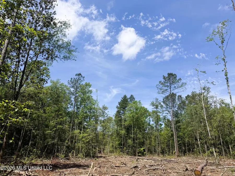 301c1, Brooklyn, MS 39425 - #2
