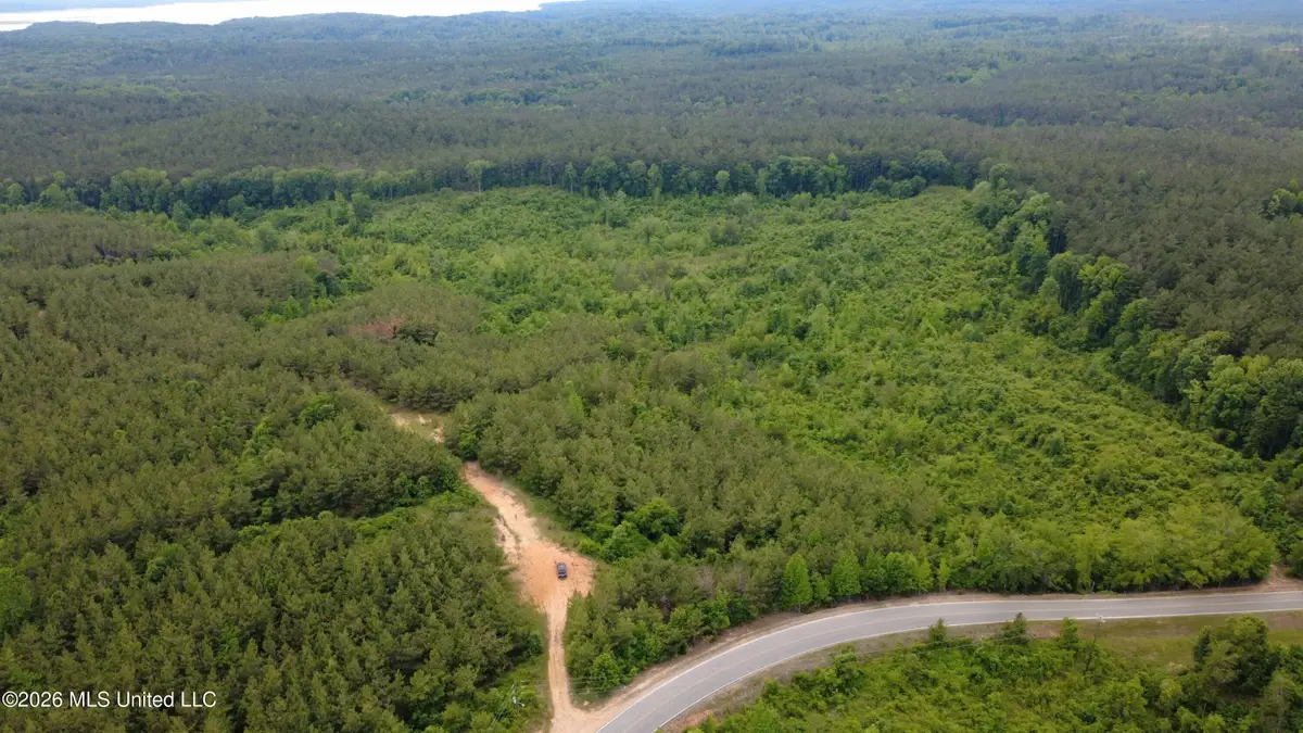 001 Gums Crossing Road, Coffeeville, MS 38922 - #1