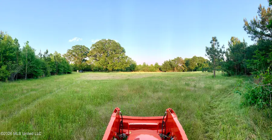 000 Griffin Road, Tylertown, MS 39667 - #2