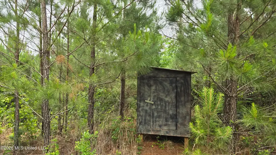 189 Co Rd 2337, Bay Springs, MS 39422 - #2
