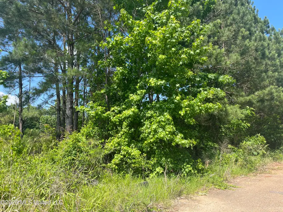 College Hill Drive, Jackson, MS 39209 - #3