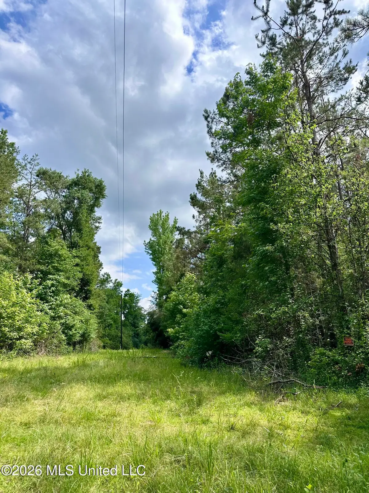 Owens Cut-off Road, Durant, MS 39063 - #1