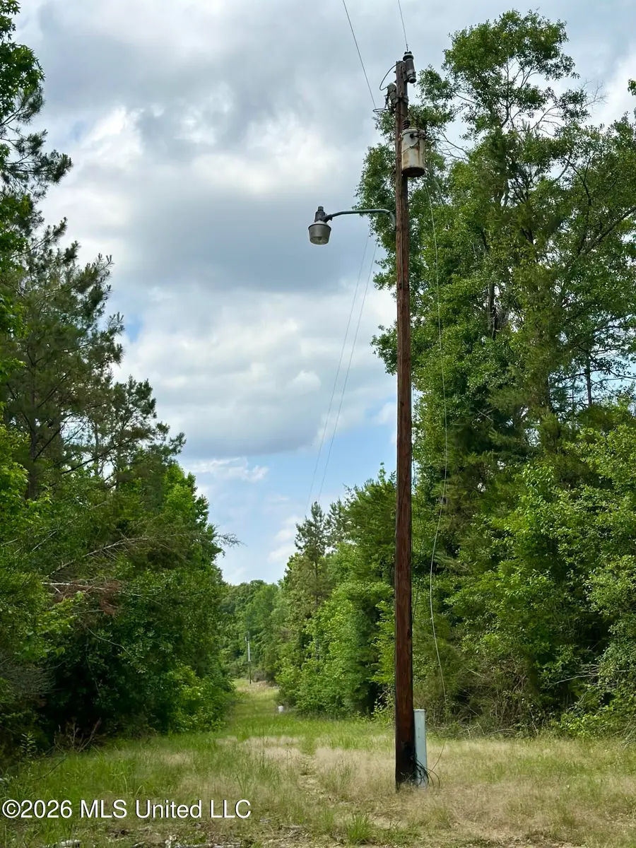 Owens Cut-off Road, Durant, MS 39063 - #2
