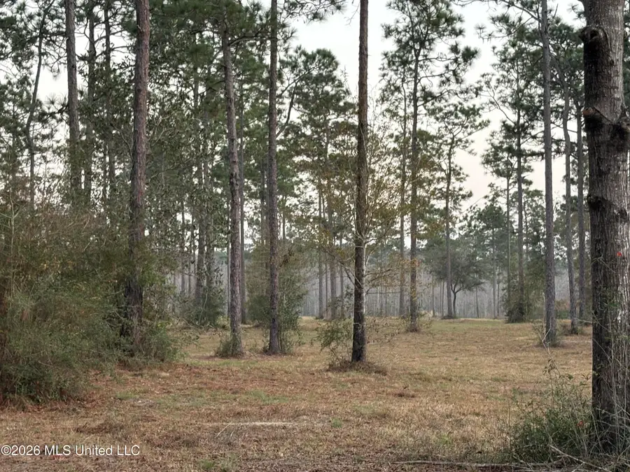 Greenfields Road, Moss Point, MS 39562 - #2