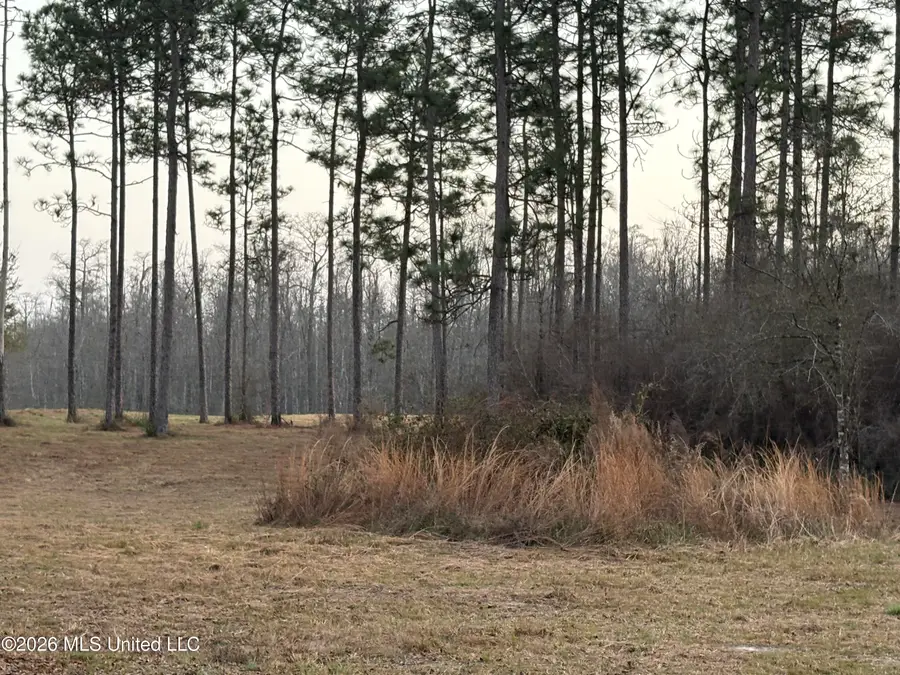 Greenfields Road, Moss Point, MS 39562 - #3